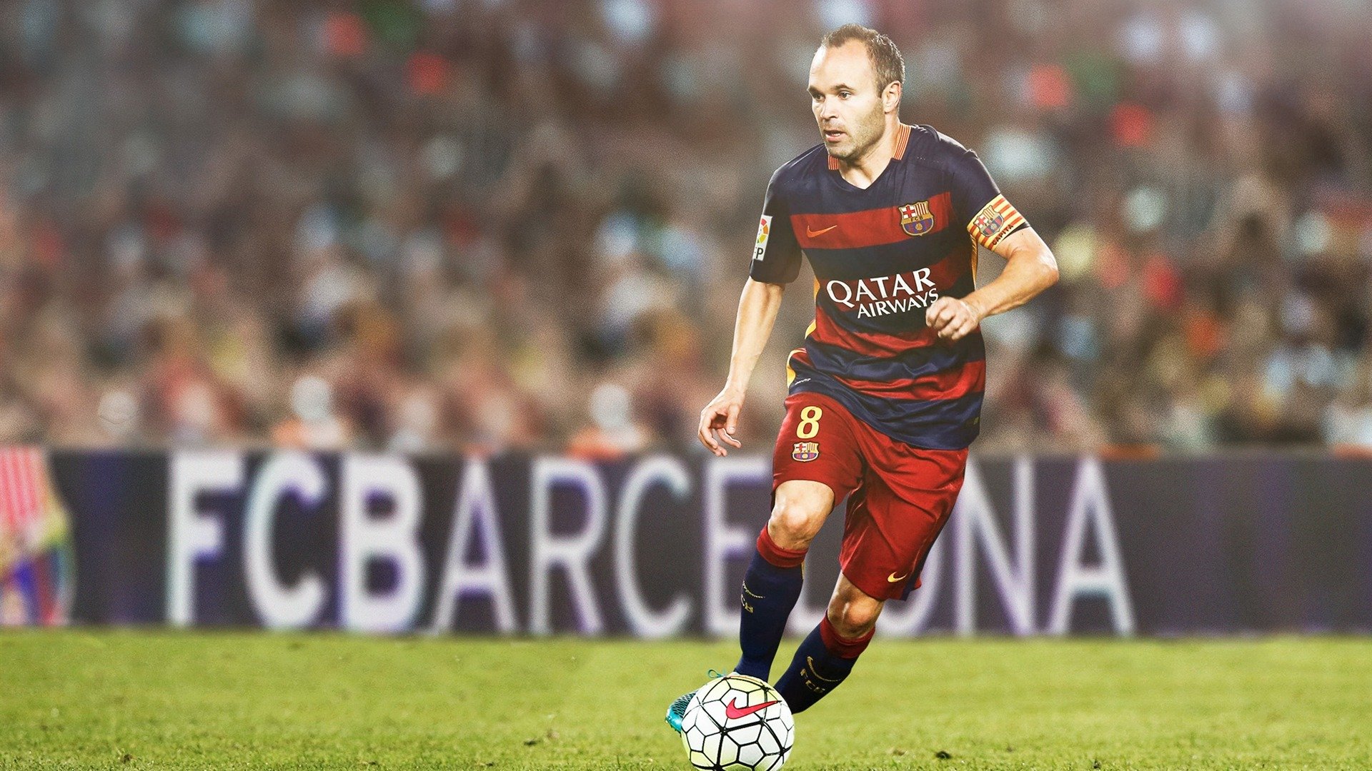 托里·哈斯克女子100米自由泳赛场新星