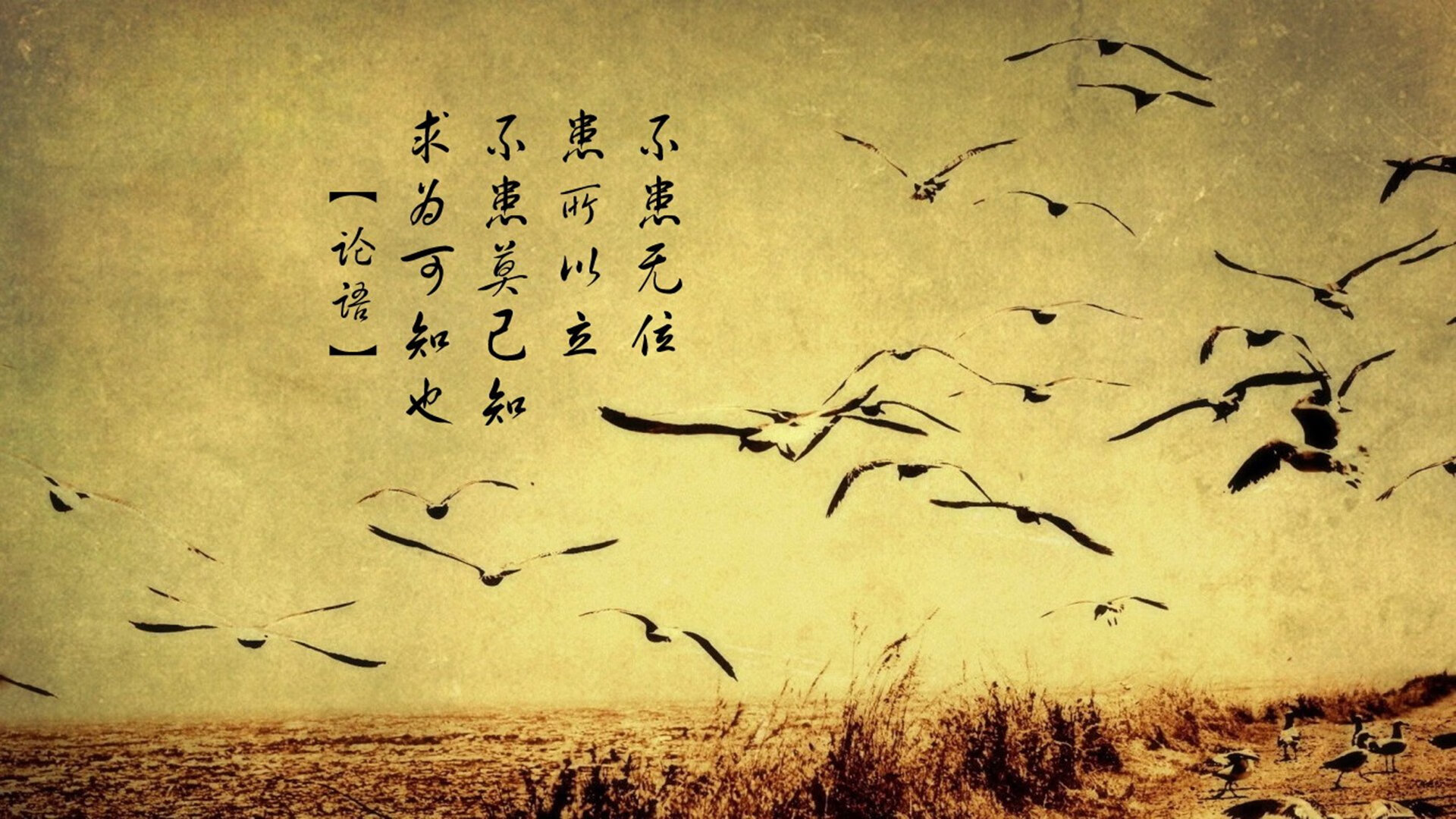 开云网页-_登山徒步赛事：挑战天路，追逐自由_，国内经典徒步登山路线