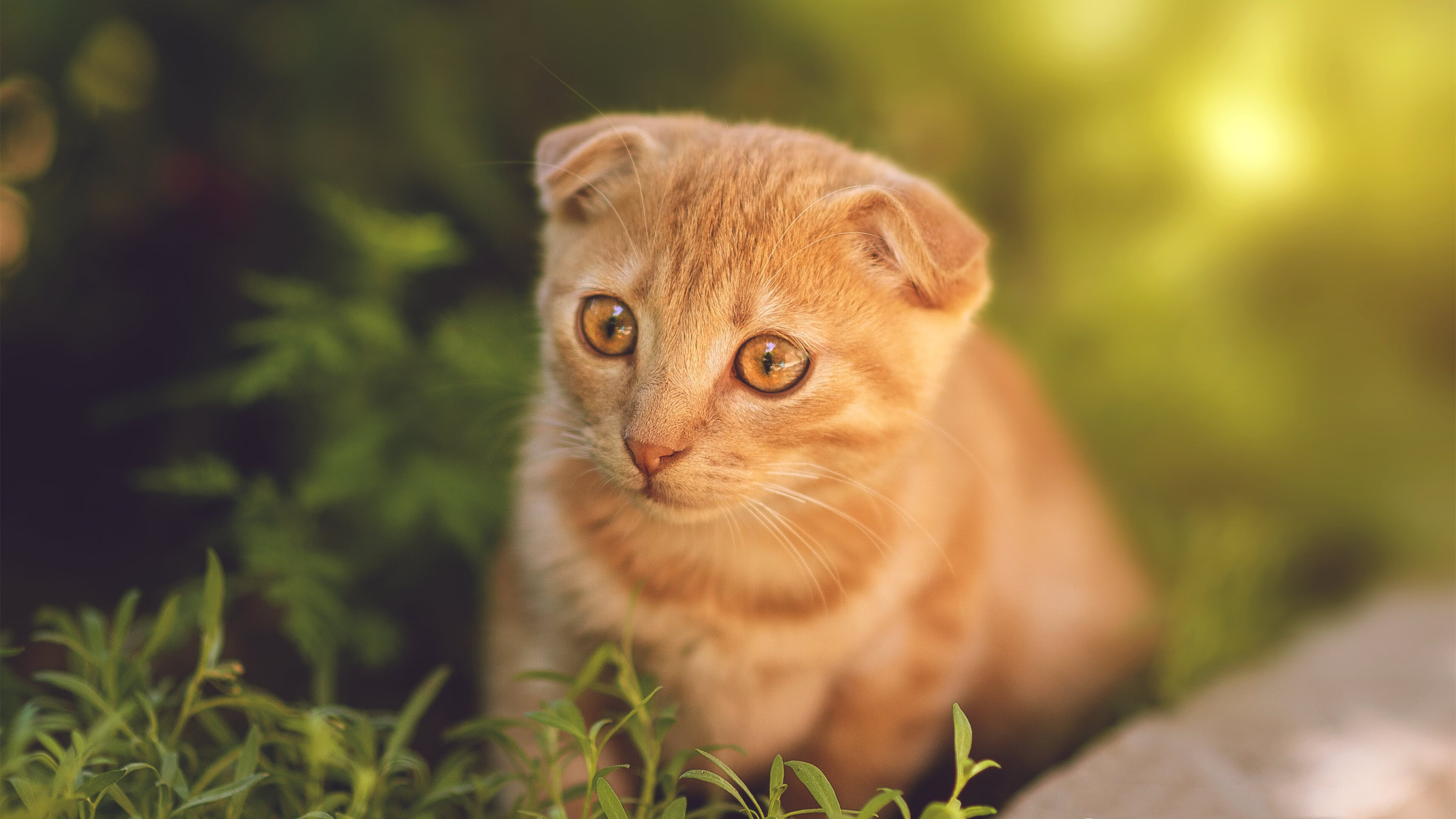 开云体育登陆入口-“一触即发：决赛倒计时，冠军只差一步之遥”，比赛一触即发是什么意思