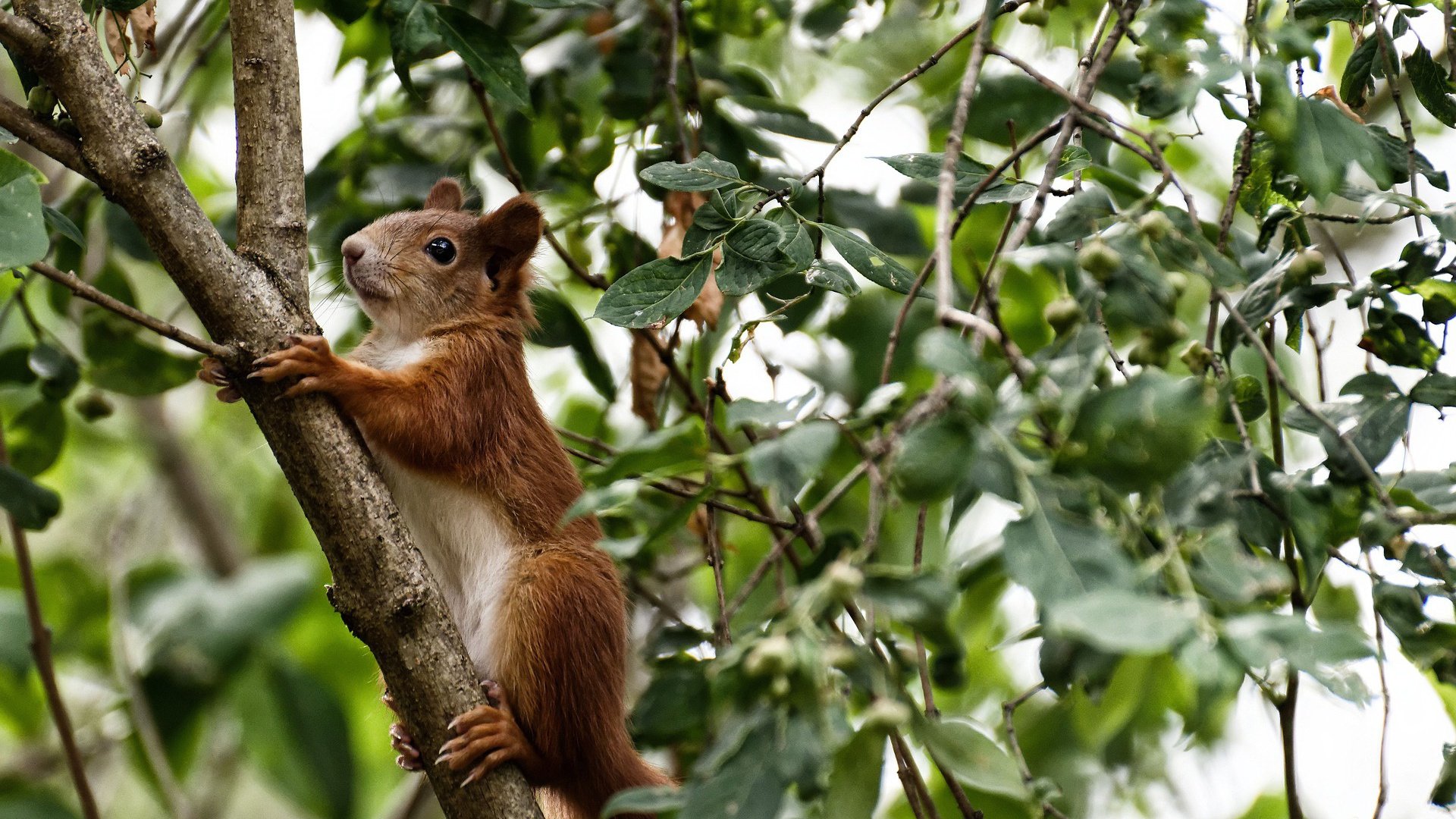 开云官网APP下载-中国足球基础设施升级项目获多项国家资金支持，中国足球建设