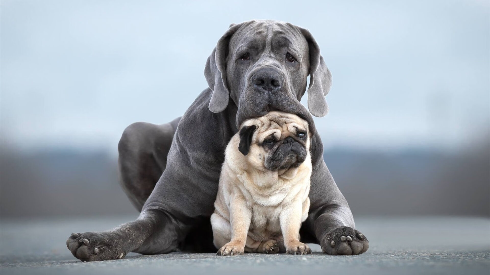 开云体育官网下载安装-全国青少年“竞技篮球”提升计划正式启动，助力成长，2020年全国青少年篮球比赛报名