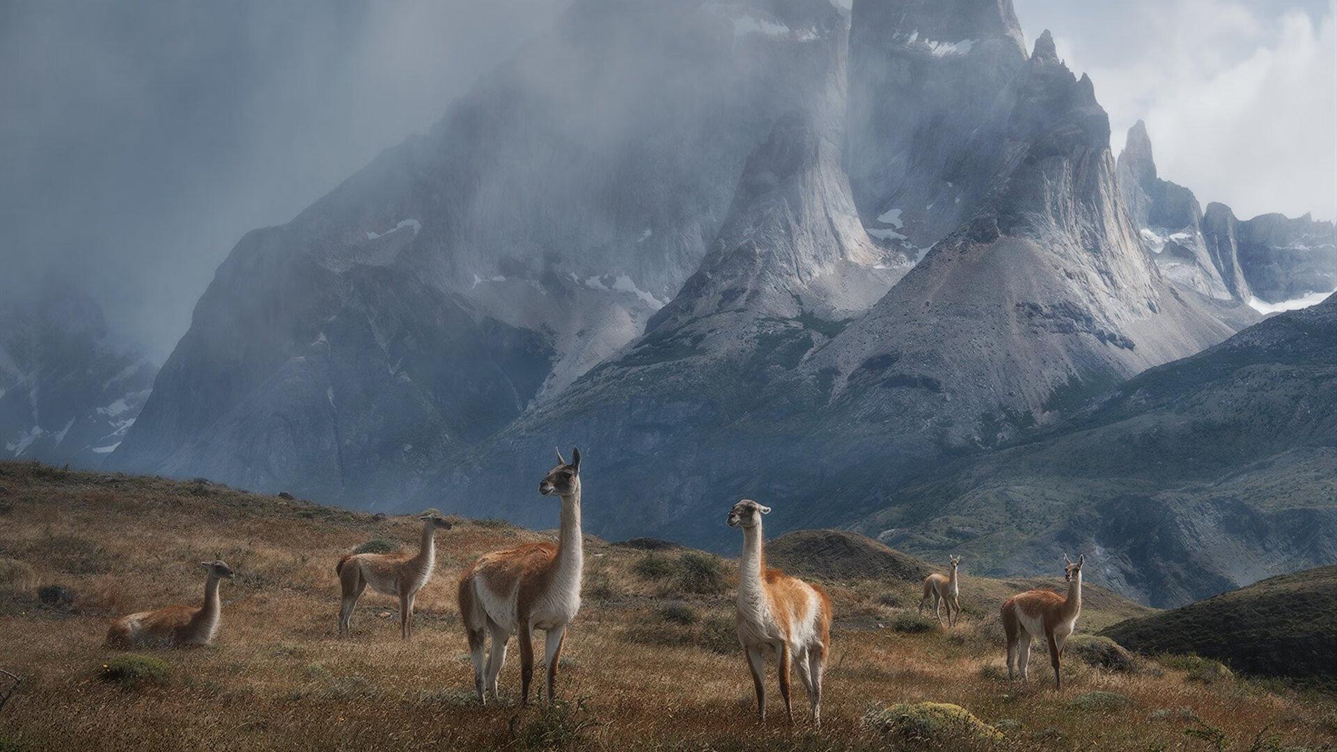 巴西队在美洲杯小组赛中以1胜2平的战绩晋级八强，巴西队美洲杯主力阵容